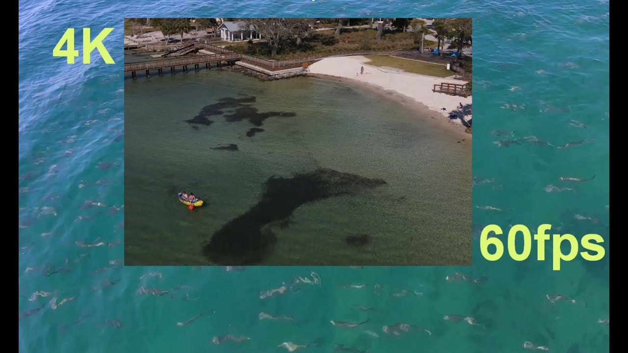 5 Best Marinas In Destin Florida: Slips, Fuel & More (2026)