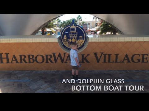 5 Best Glass Bottom Boat Dolphin Cruises In Destin (2026)