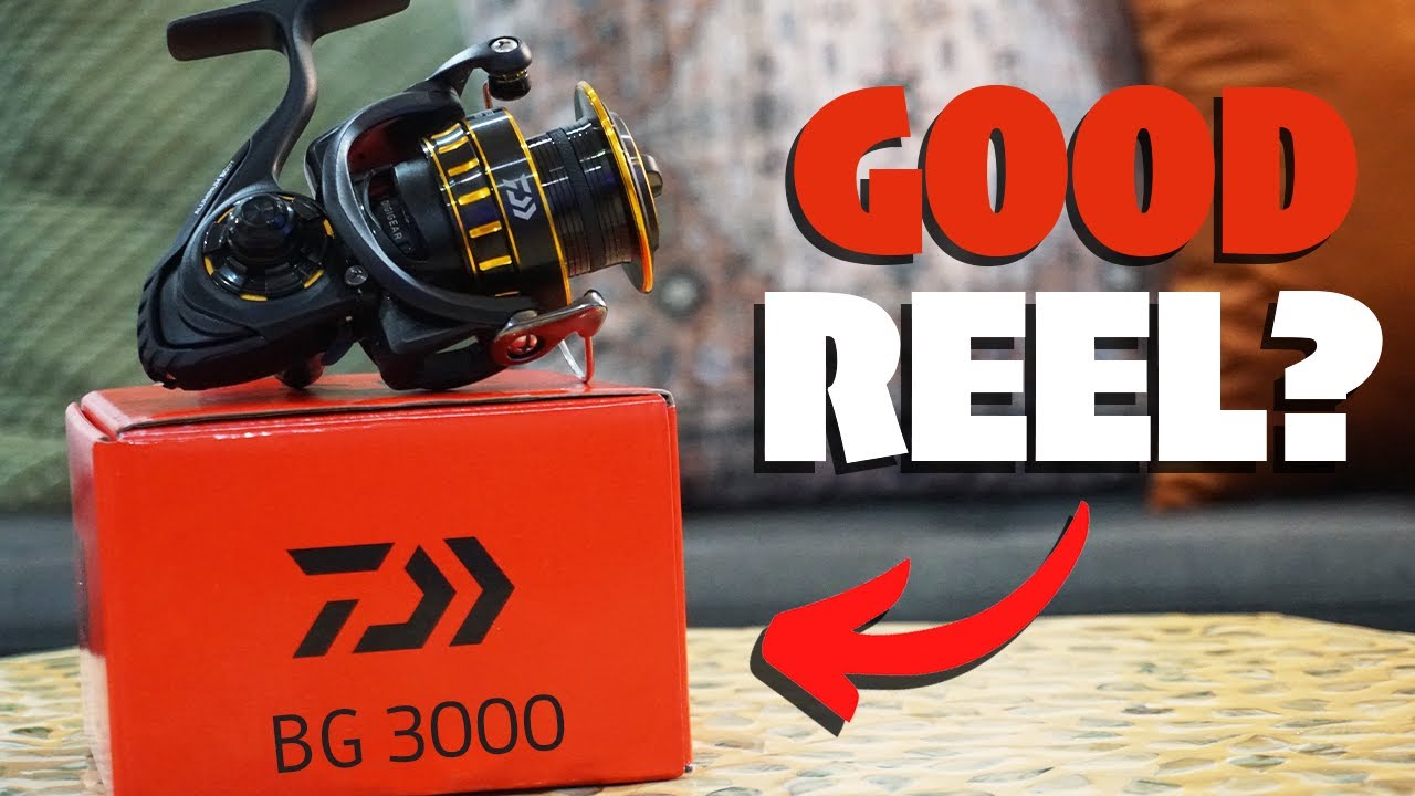 Daiwa Fishing Reels: 5 Best Picks For Saltwater & Inshore