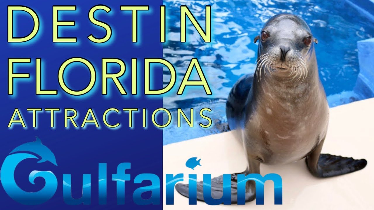 Gulfarium Marine Adventure Park Destin: Complete Guide