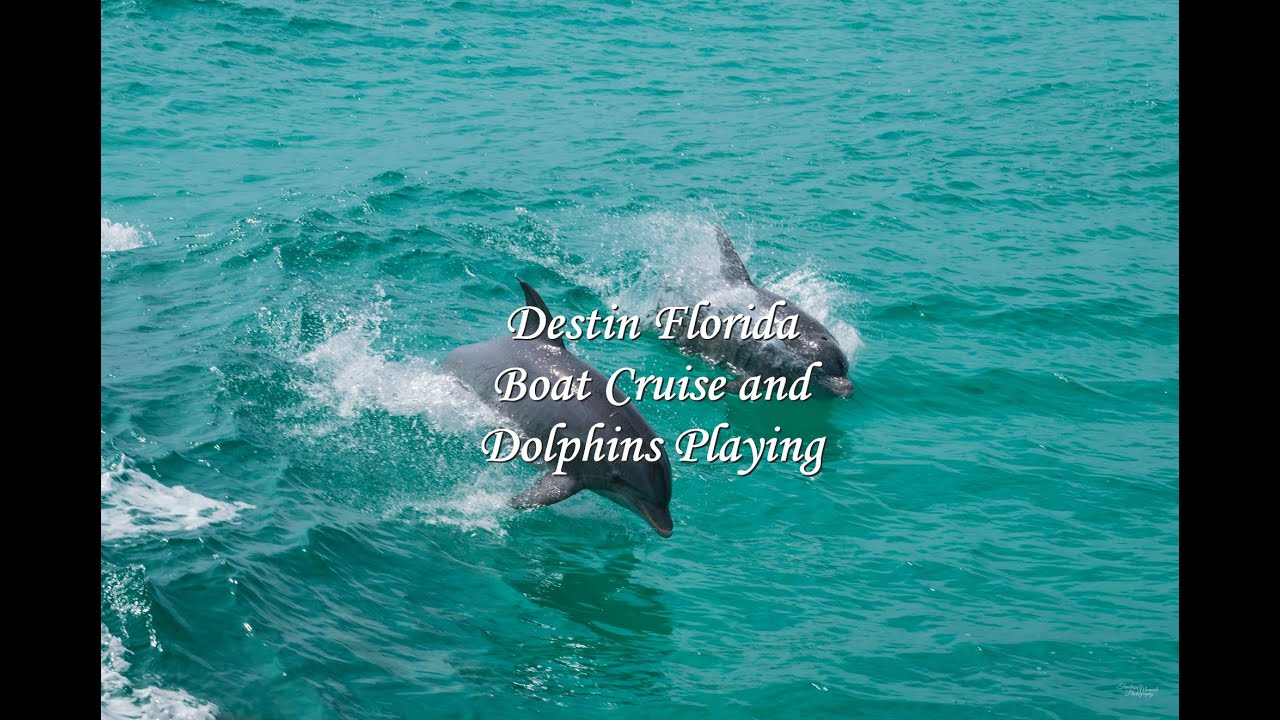 5 Best Sunset Dolphin Cruise Destin Tours: Prices & Times