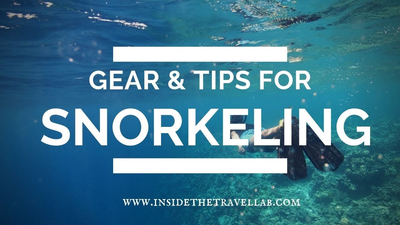 5 Snorkeling Tips for First Timers in Destin That Work