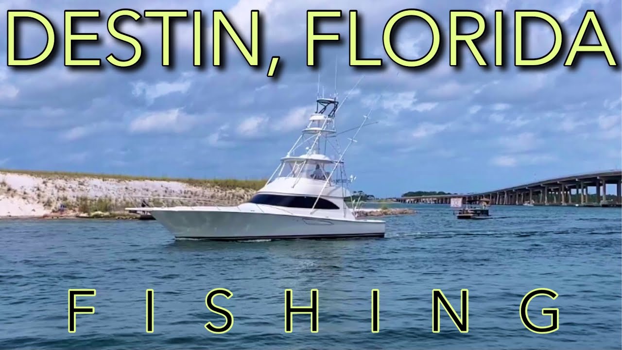 Best Time To Fish In Destin: Monthly Seasons Guide (2026)