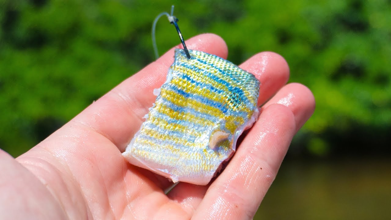 How To Catch Redfish Inshore: Baits, Spots & Rigs That Work