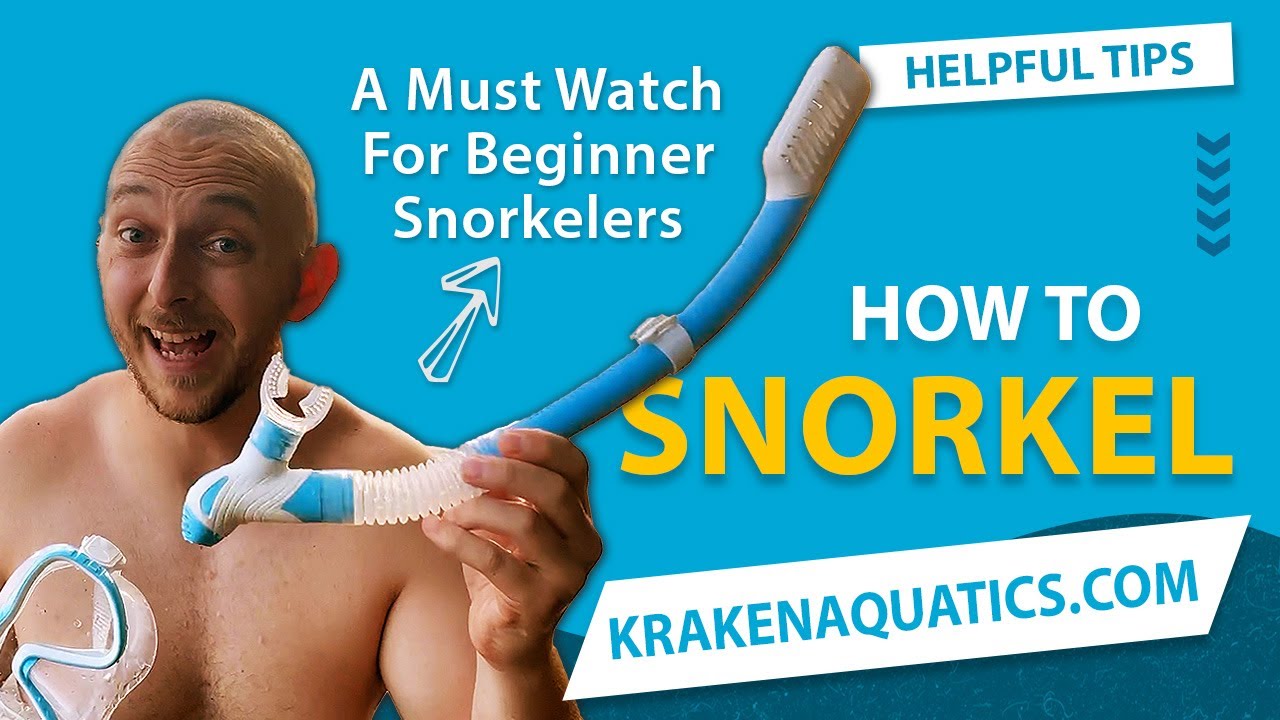 11 Best Snorkeling Gear for Beginners: Sets & Tips (2026)